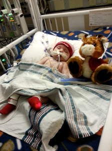 Bubby in his Valentine's outfit